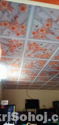 ডিজিটাল সিলিং